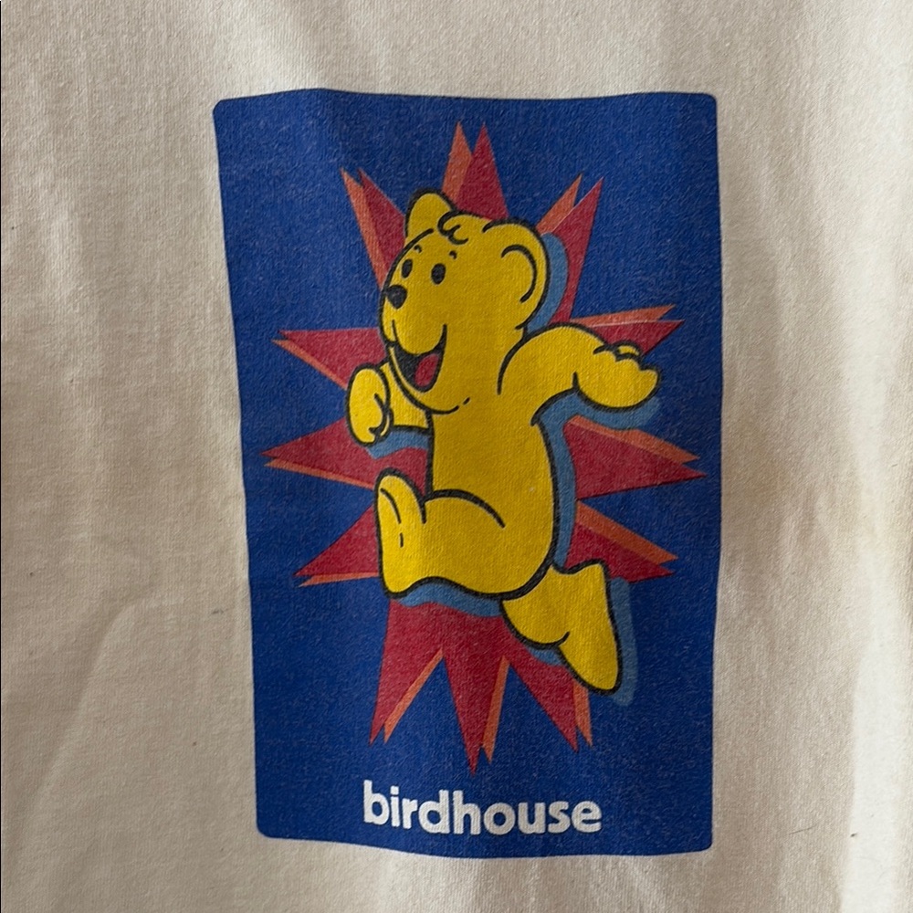 Tony Hawks Birdhouse skate company!